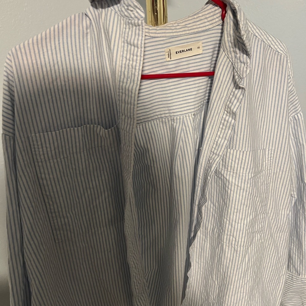 Everlane Light Blue Pinstripe Shirt